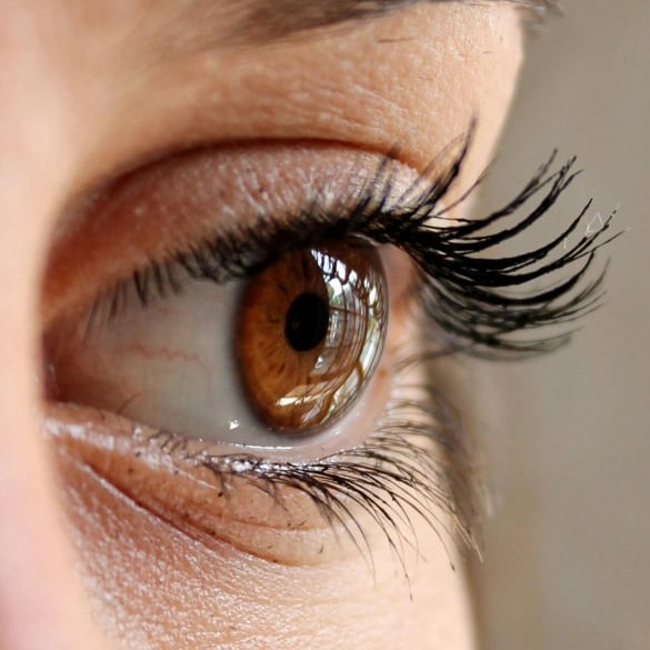 Closeup of a woman's eye, brown, with long lashes, links to Athena's Glow Lash Services